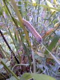 th_130320111341.jpg