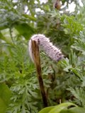 th_130320111343.jpg