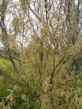 th_130320111345.jpg
