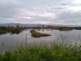th_130320111347.jpg