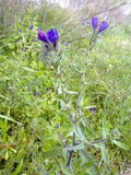 th_130320111351.jpg