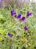 th_130320111352.jpg