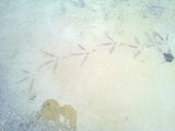 th_130320111353.jpg