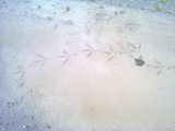 th_130320111354.jpg