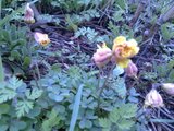 th_130320111356.jpg
