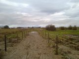 th_130320111358.jpg