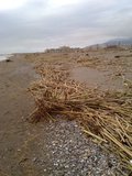 th_130320111359.jpg
