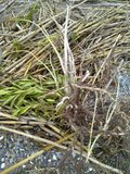 th_130320111360.jpg