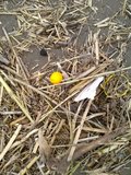 th_130320111362.jpg