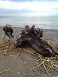 th_130320111363.jpg