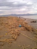 th_130320111364.jpg