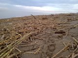 th_130320111369.jpg