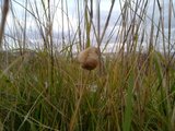 th_130320111371.jpg