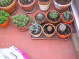 th_13967_P1010028_122_41lo.JPG