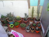 th_13968_P1010029_122_476lo.JPG