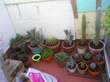 th_14095_P1010030_122_1132lo.JPG