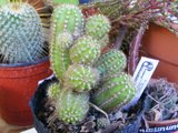 th_2009_092018sept0009.jpg