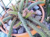 th_2009_092018sept0013.jpg