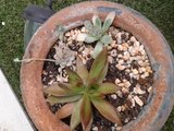 th_2013-06-24174906.jpg