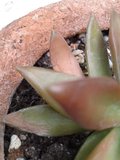 th_2013-06-24174920.jpg