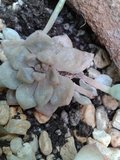 th_2013-06-24174929.jpg