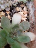 th_2013-06-24174940.jpg