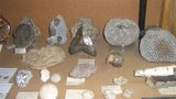 th_22-01-08195Medium.jpg