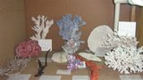 th_22-01-08197Medium.jpg