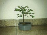 th_22022009274.jpg