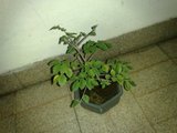 th_22022009275.jpg