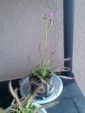 th_22386_Imagen005_122_568lo.jpg