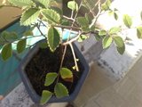 th_23022009277.jpg