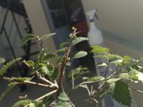 th_23022009279.jpg