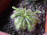 th_23032_P9110149_122_1093lo.JPG