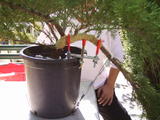 th_23739_17-10-2007_122_410lo.JPG