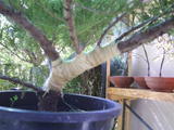 th_24000_9-10-2007_122_24lo.JPG