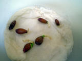 th_27250_Limones_ger_122_128lo.jpg