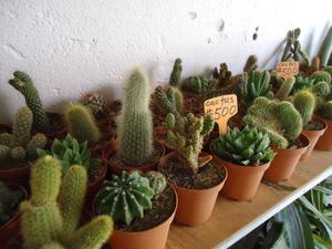 th_35090_Image3_122_406lo.jpg