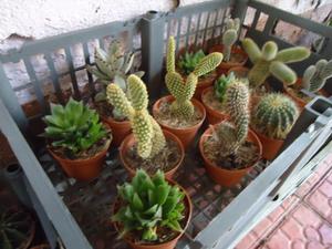 th_35102_Image7_122_105lo.jpg
