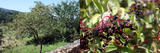 th_39301_sa46co_122_114lo.jpg