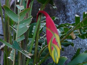 th_47982_Image32_122_506lo.jpg