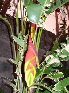th_47985_Image1_122_209lo.jpg