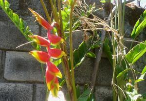 th_47998_Image6_122_86lo.jpg