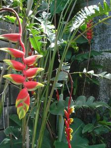 th_48002_Image7_122_363lo.jpg