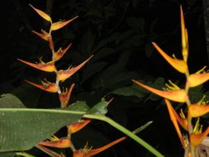 th_48442_Image8_122_158lo.jpg