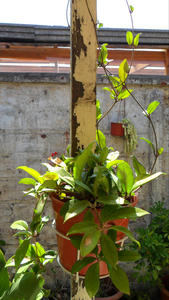 th_48462_xident013_01_122_62lo.jpg