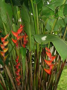 th_48750_Image1_122_1006lo.jpg