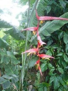 th_48752_Image2_122_403lo.jpg