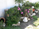 th_59534_P1150498_122_142lo.jpg