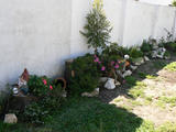 th_59538_P1150497_122_148lo.jpg